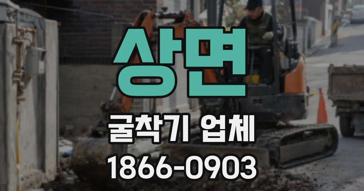 상면 굴착기 업체