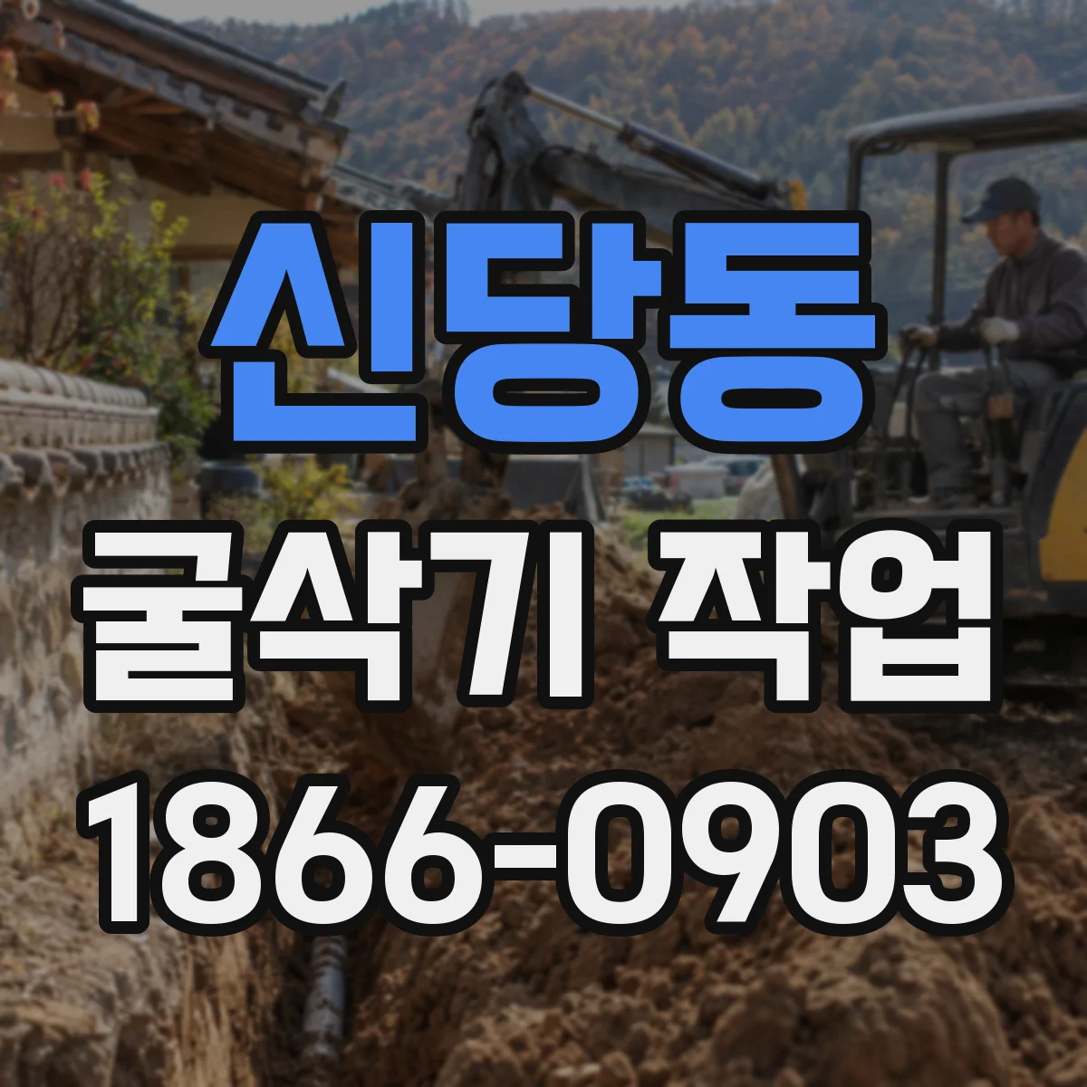 신당동 굴삭기 작업