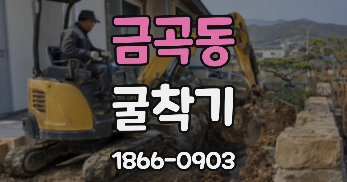 금곡동 굴착기