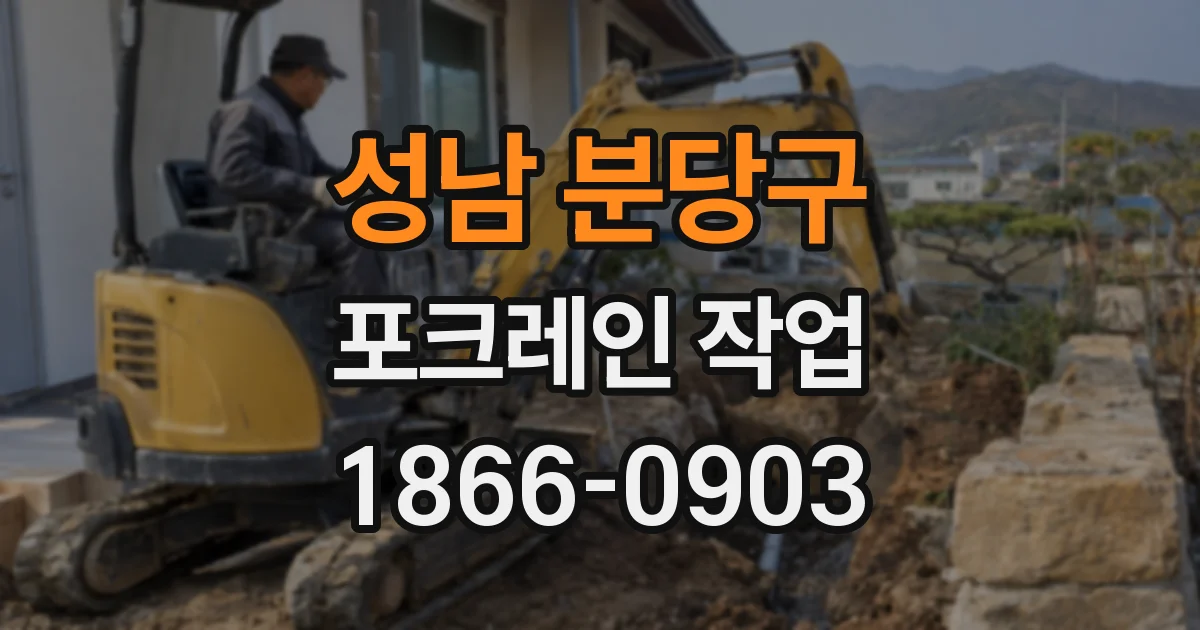 성남 분당구 포크레인 작업