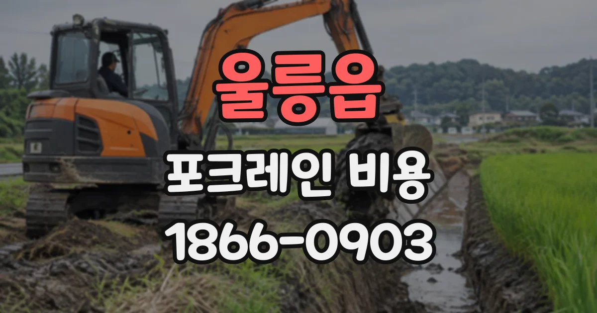 울릉읍 포크레인비용