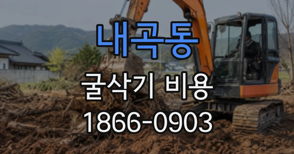 내곡동 굴삭기비용