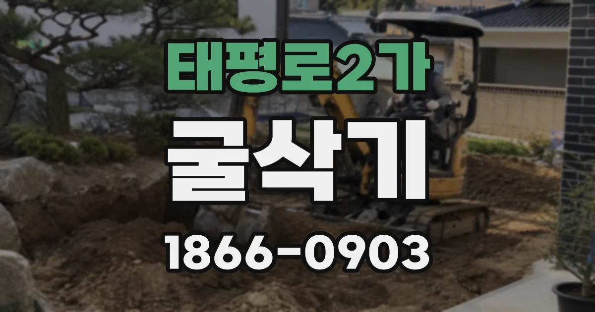 태평로2가 굴삭기