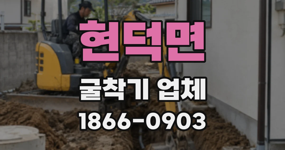 현덕면 굴착기 업체