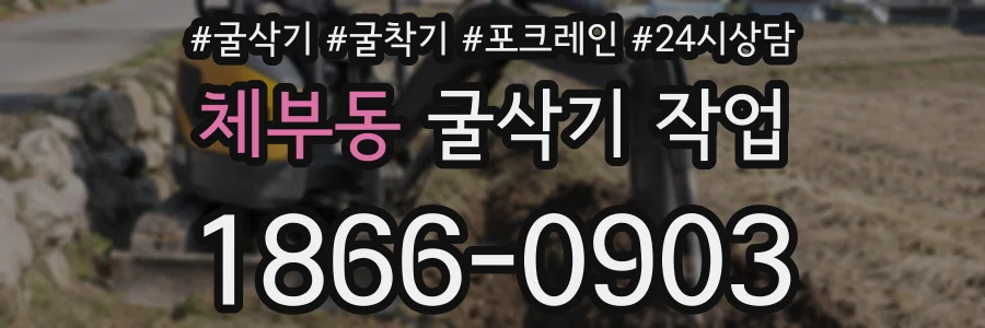 체부동 굴삭기 작업
