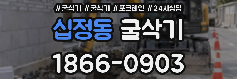십정동 굴삭기