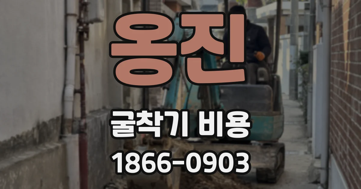 옹진 굴착기 비용