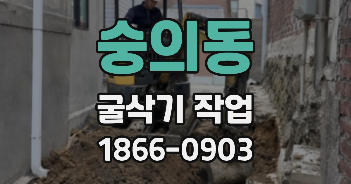 숭의동 굴삭기 작업