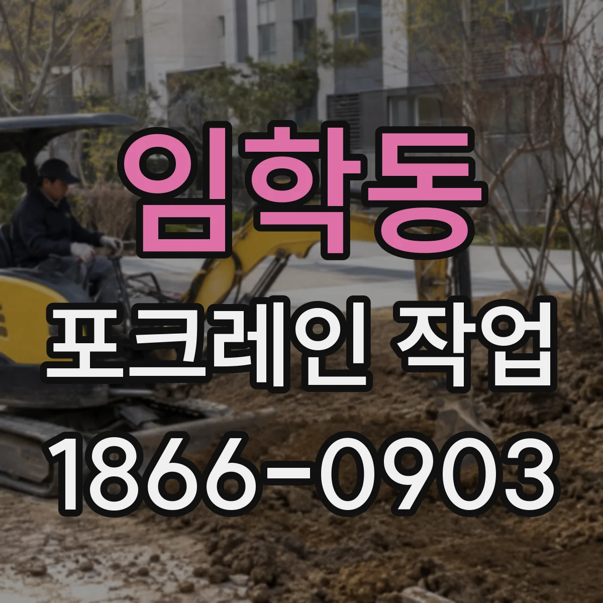 임학동 포크레인 작업