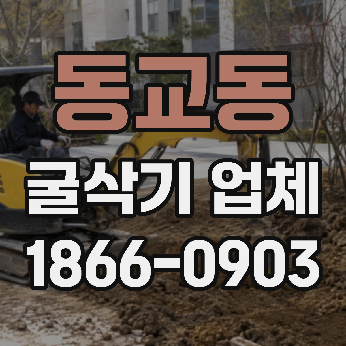 동교동 굴삭기 업체
