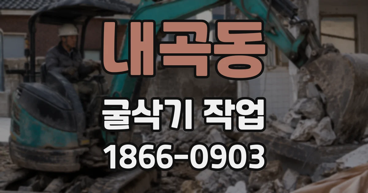 내곡동 굴삭기 작업