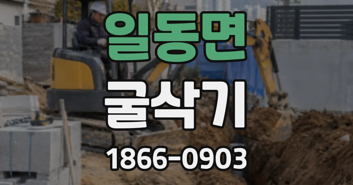 일동면 굴삭기