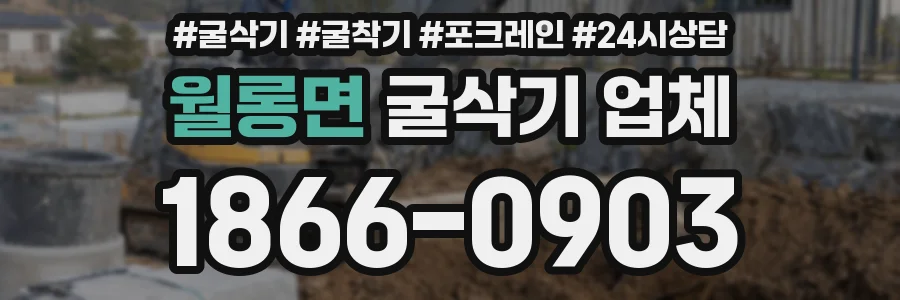 월롱면 굴삭기 업체