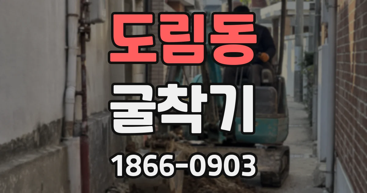 도림동 굴착기