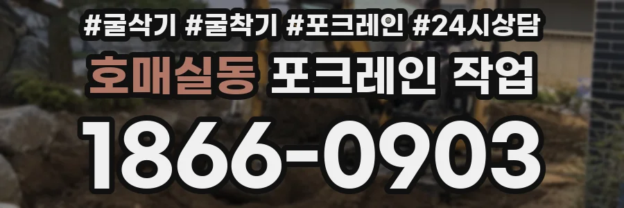 호매실동 포크레인 작업