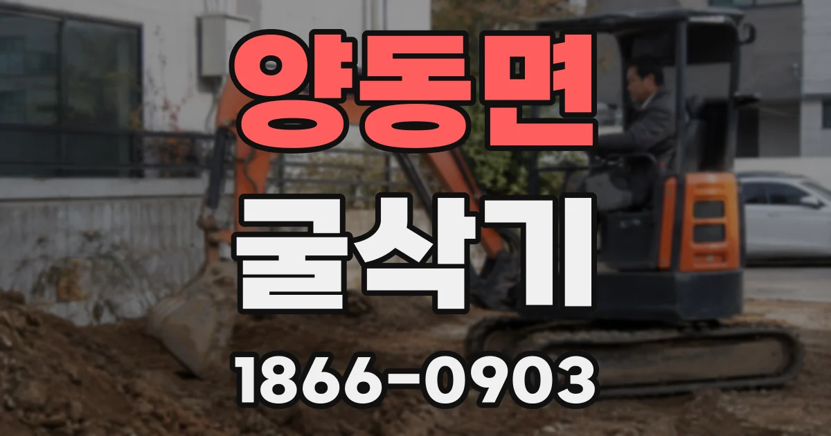 양동면 굴삭기