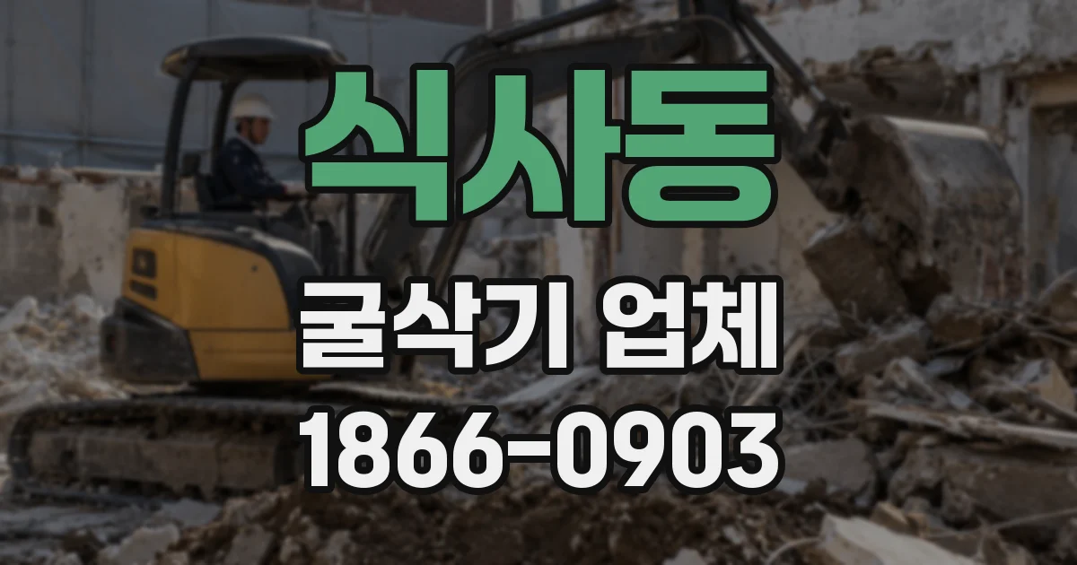 식사동 굴삭기 업체