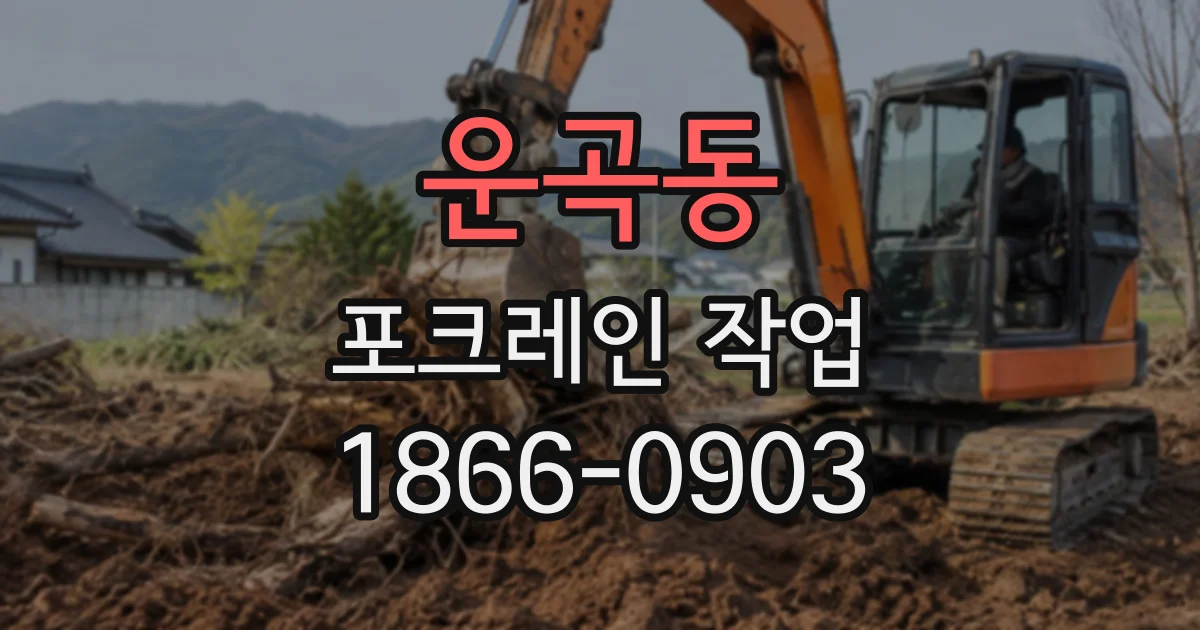 운곡동 포크레인작업
