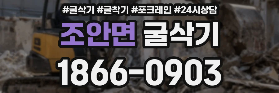 조안면 굴삭기
