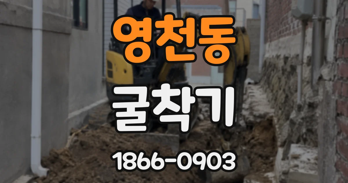 영천동 굴착기