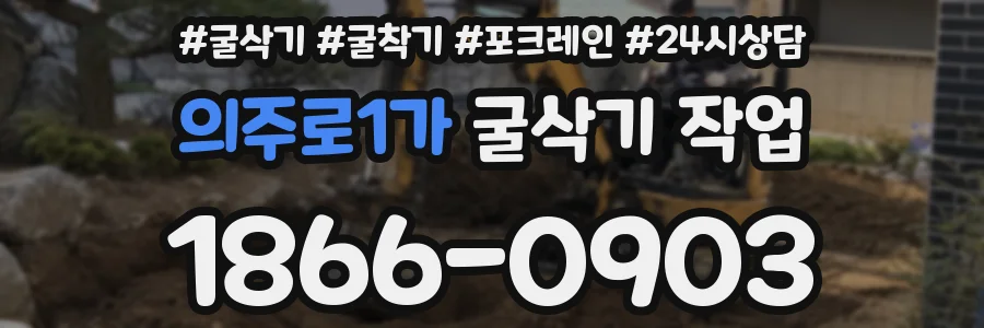 의주로1가 굴삭기 작업