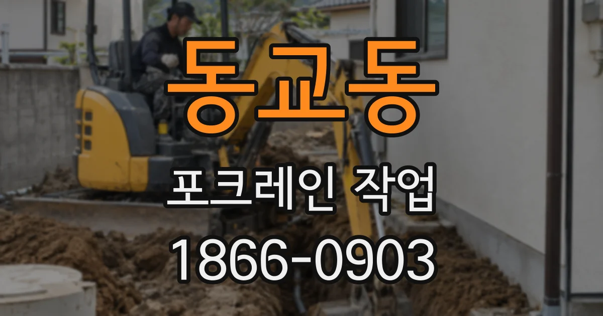 동교동 포크레인 작업