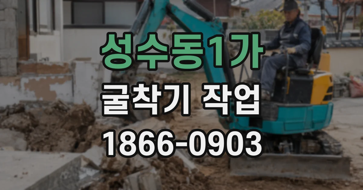 성수동1가 굴착기 작업