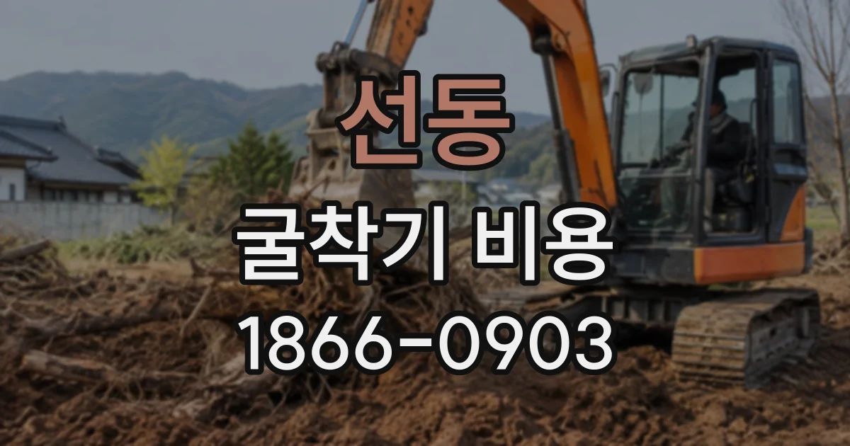 선동 굴착기비용