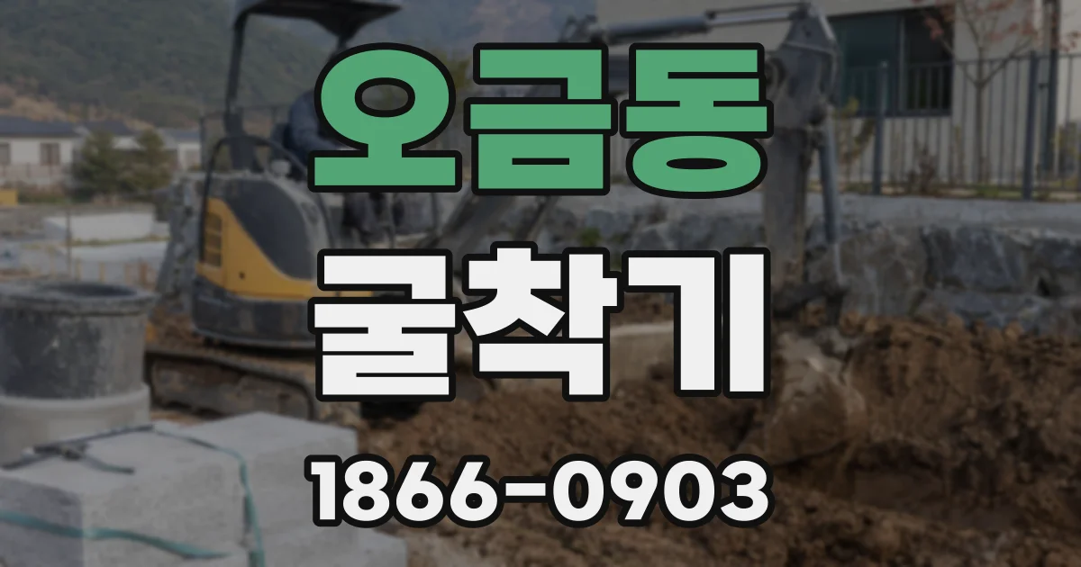 오금동 굴착기