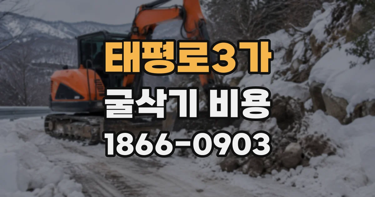 태평로3가 굴삭기비용