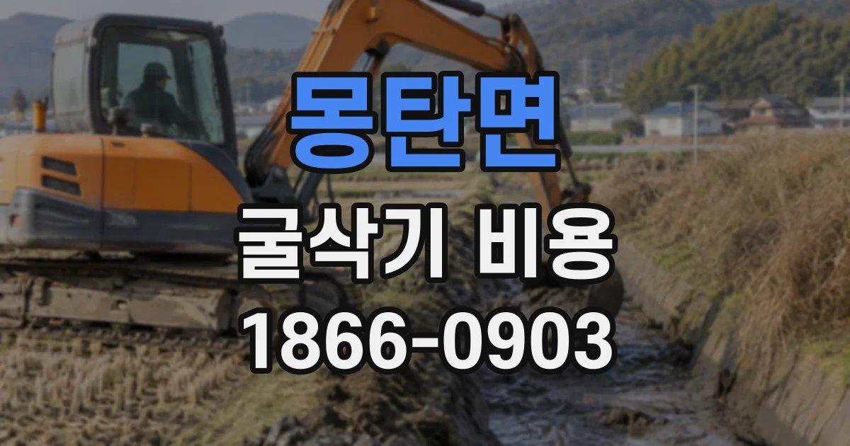 몽탄면 굴삭기비용