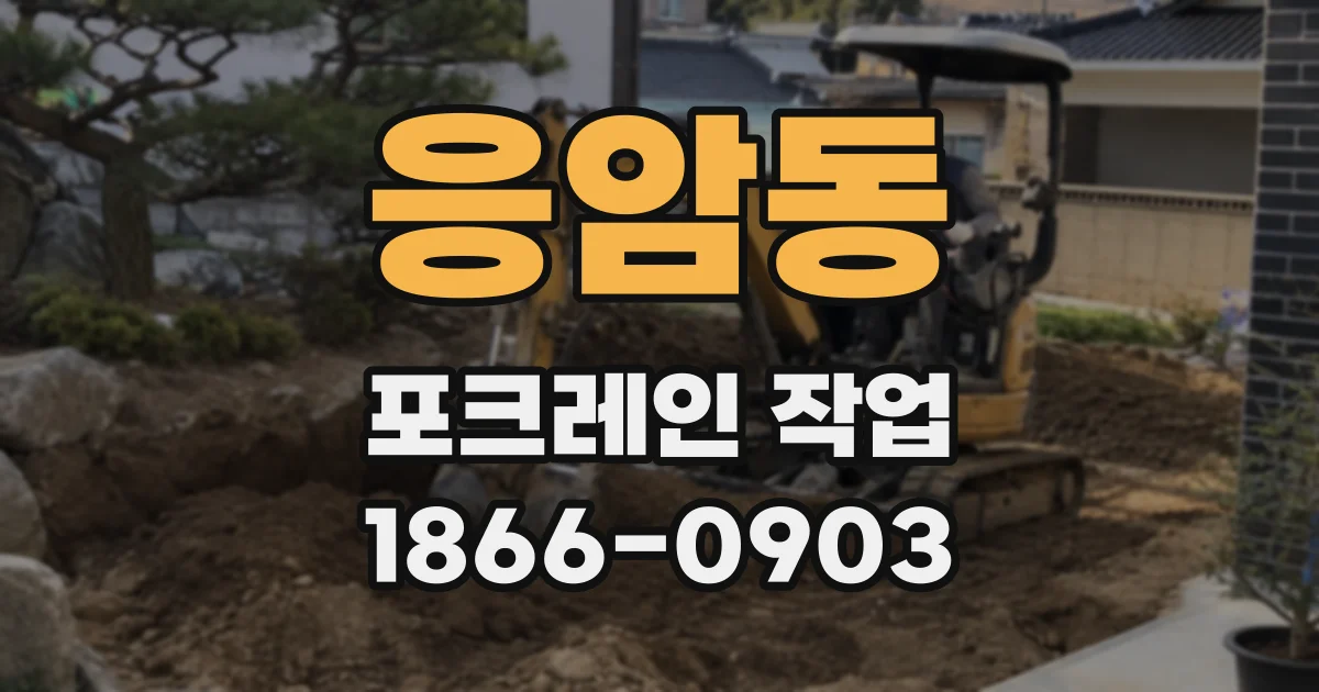 응암동 포크레인 작업