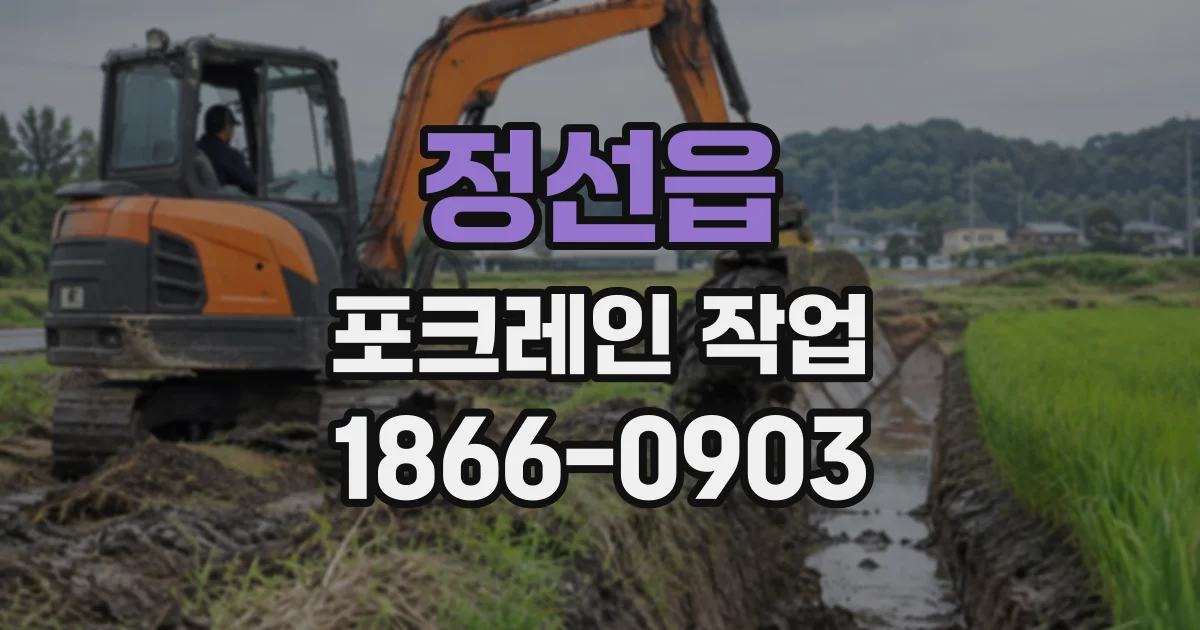 정선읍 포크레인작업