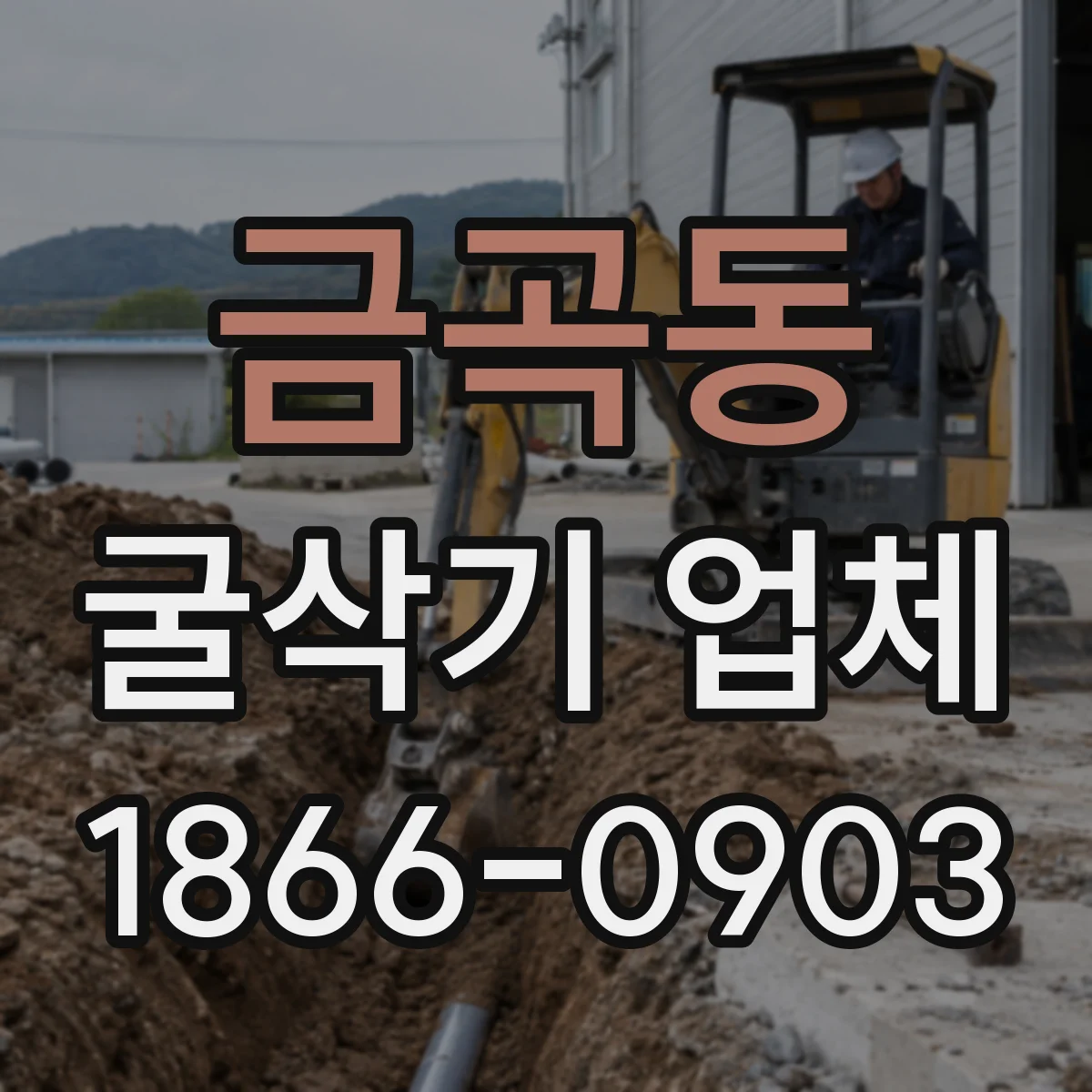 금곡동 굴삭기 업체