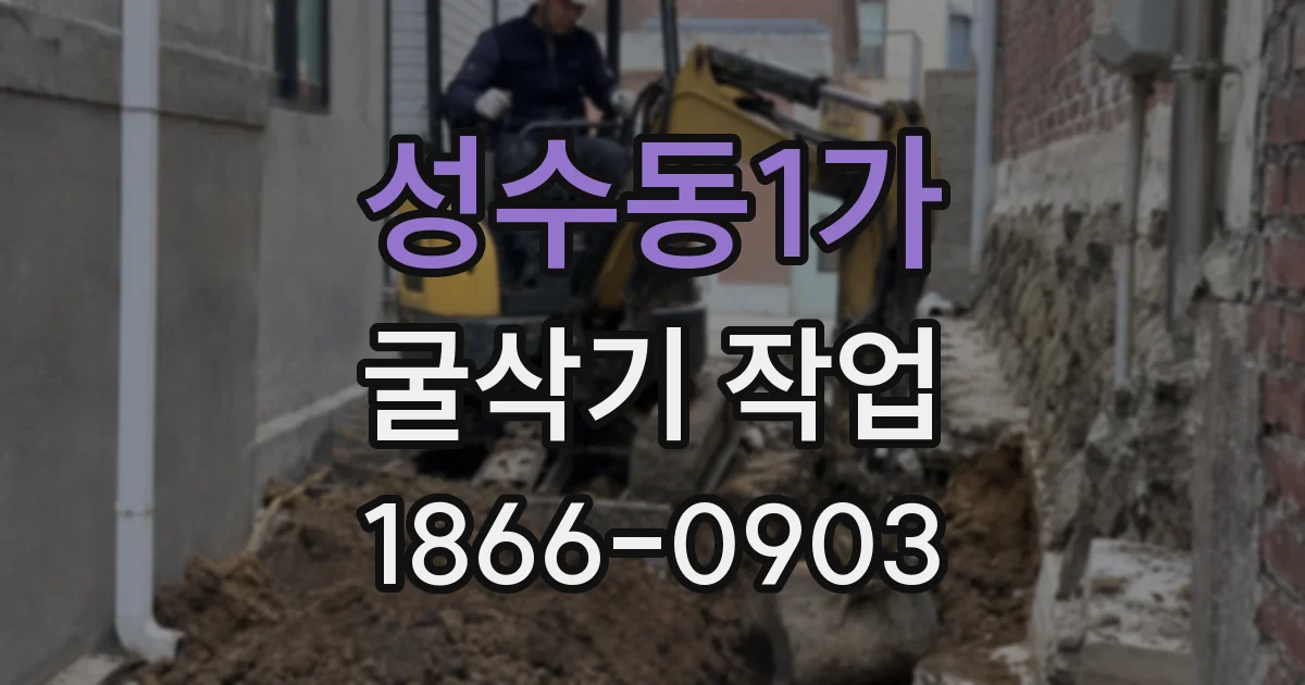 성수동1가 굴삭기 작업