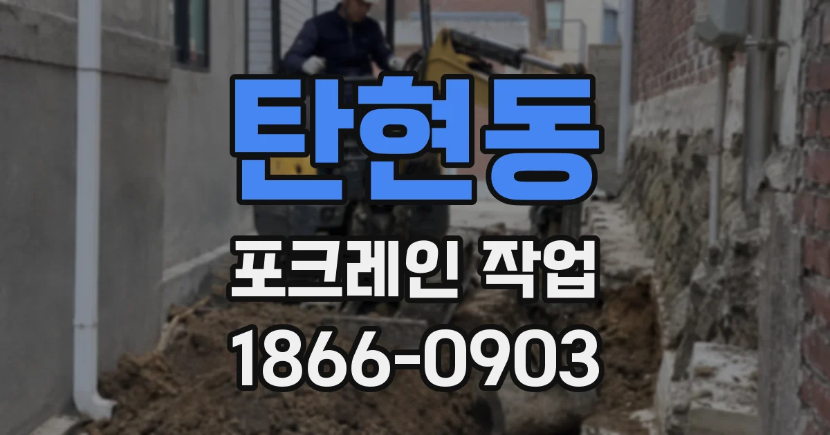 탄현동 포크레인 작업