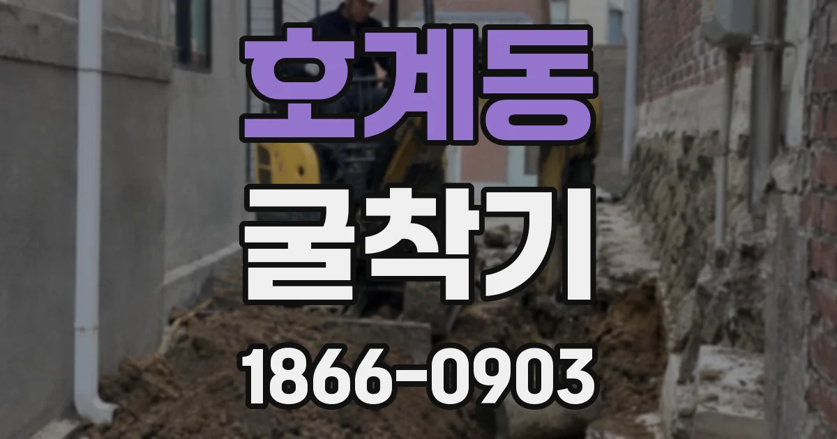 호계동 굴착기