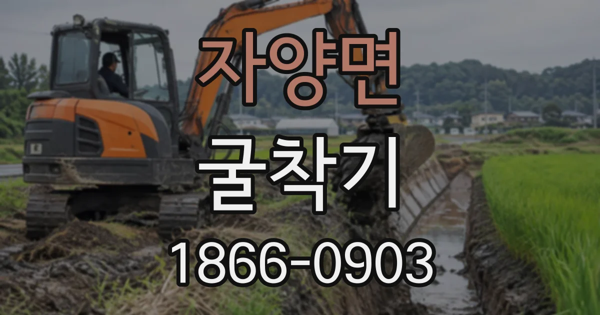 자양면 굴착기