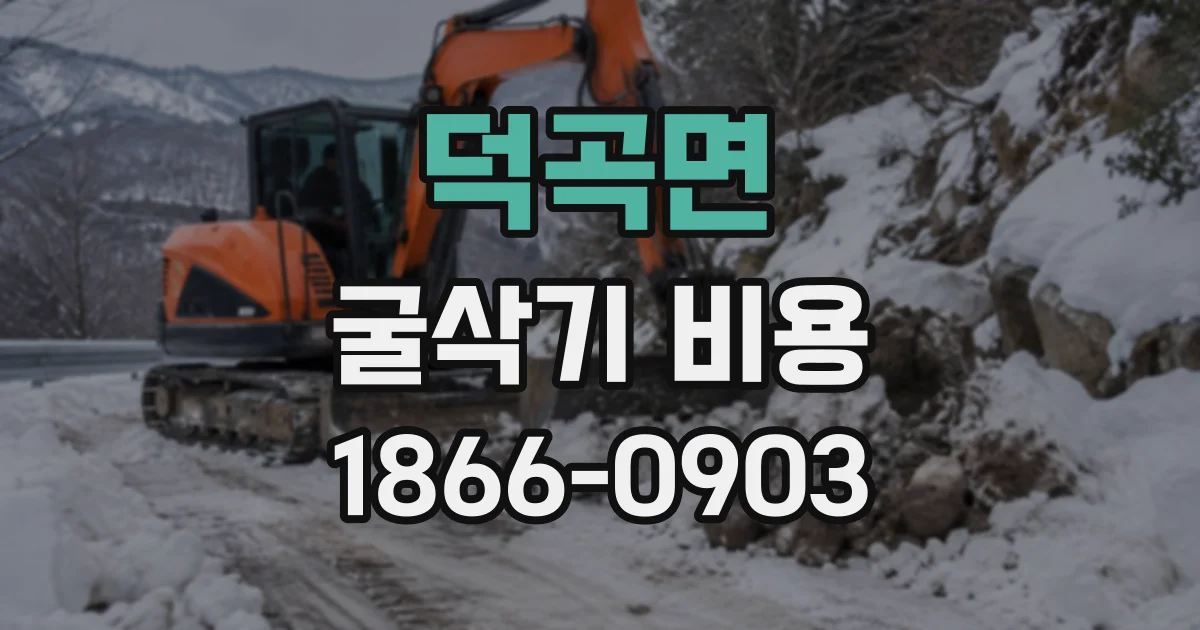 덕곡면 굴삭기비용