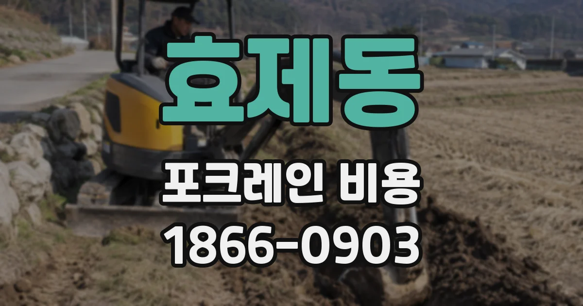 효제동 포크레인 비용