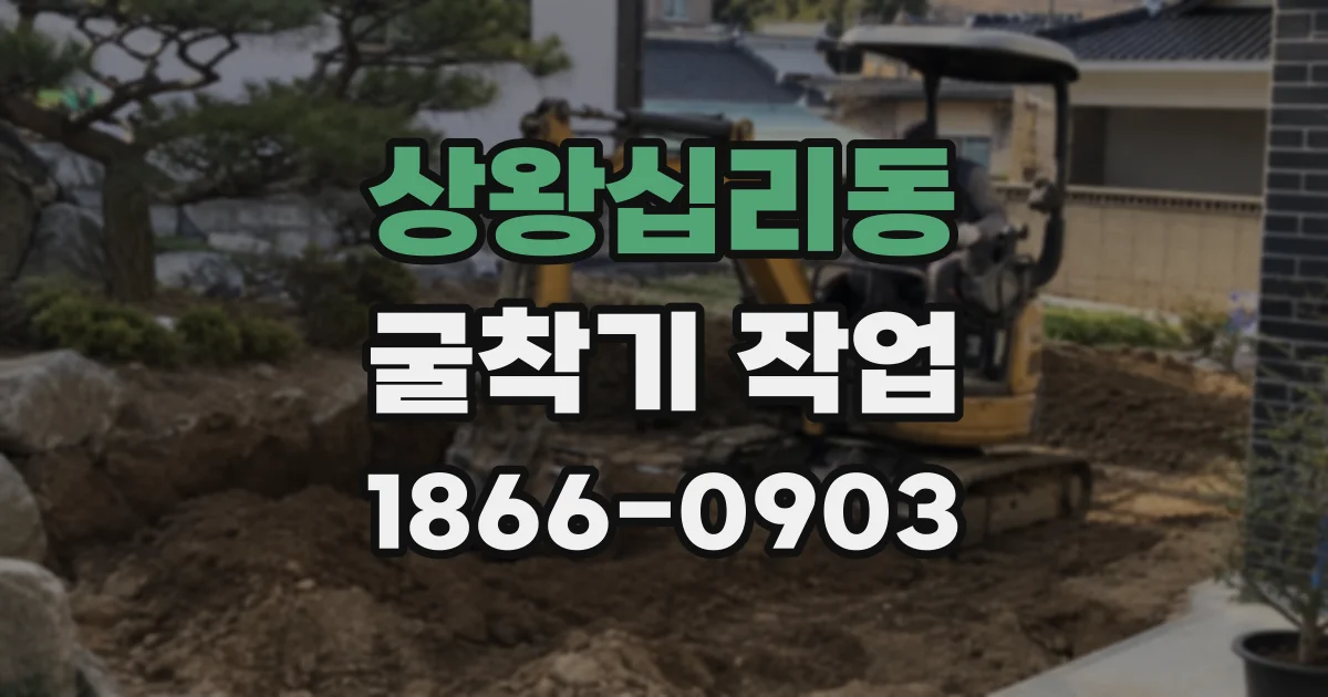 상왕십리동 굴착기 작업