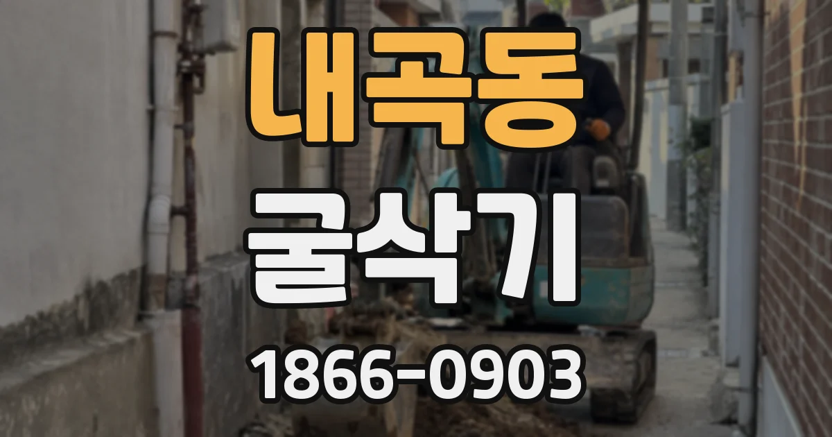 내곡동 굴삭기
