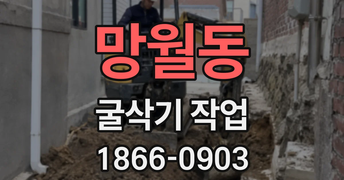 망월동 굴삭기 작업