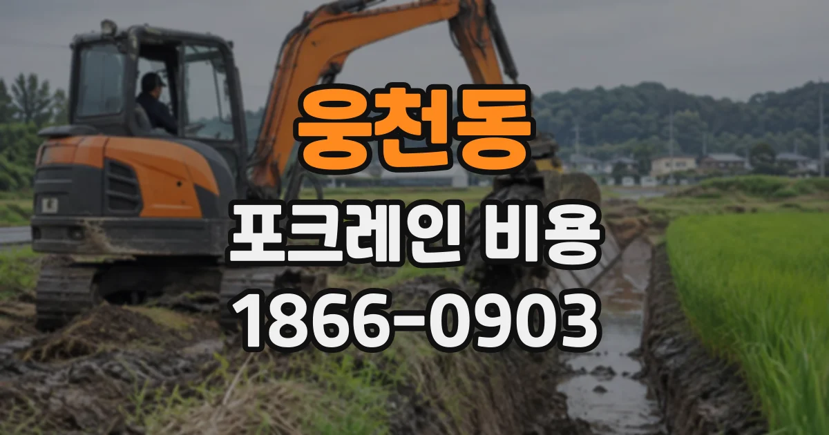 웅천동 포크레인비용