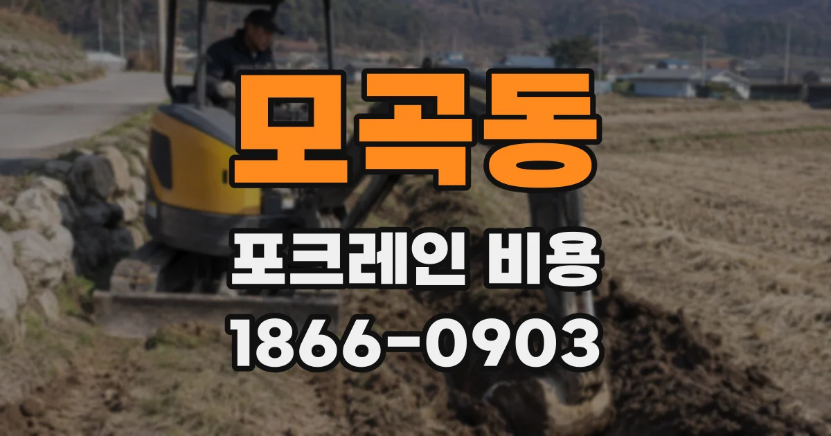 모곡동 포크레인 비용