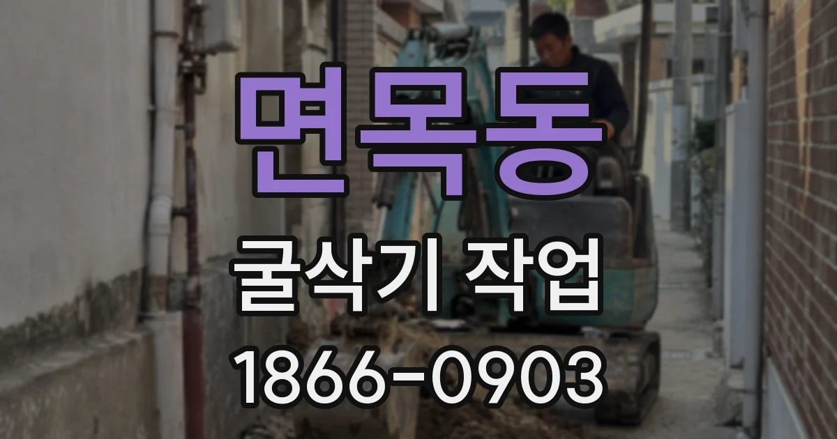 면목동 굴삭기 작업
