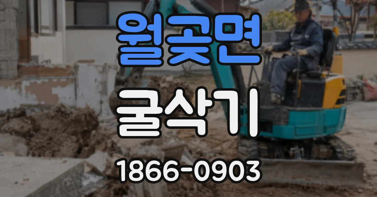 월곶면 굴삭기