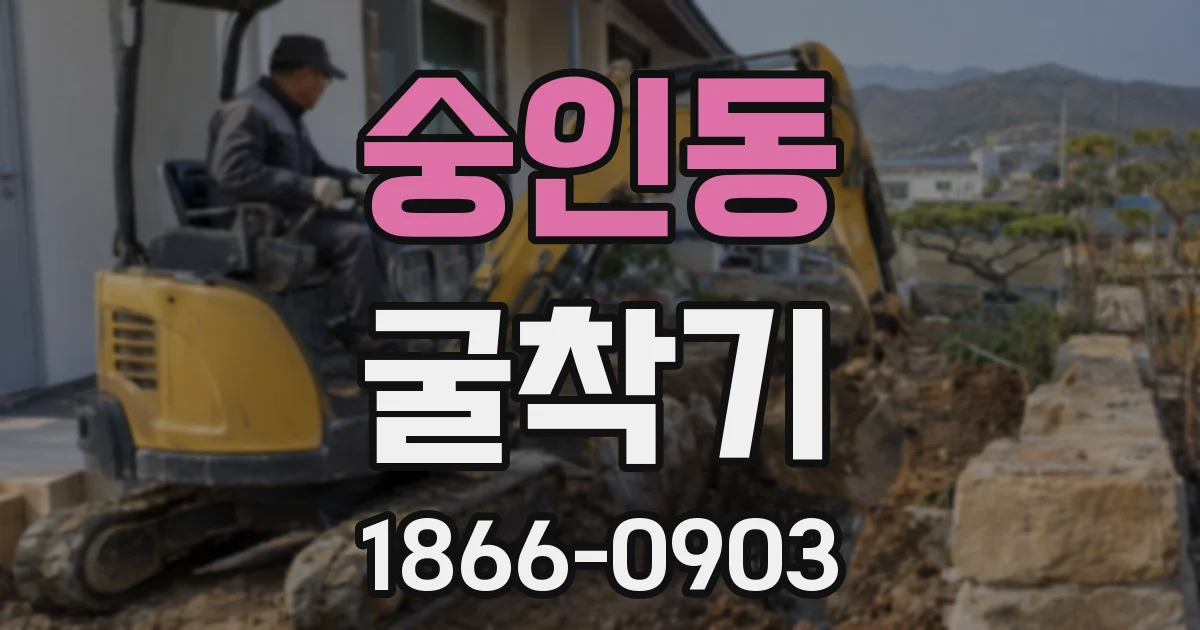 숭인동 굴착기