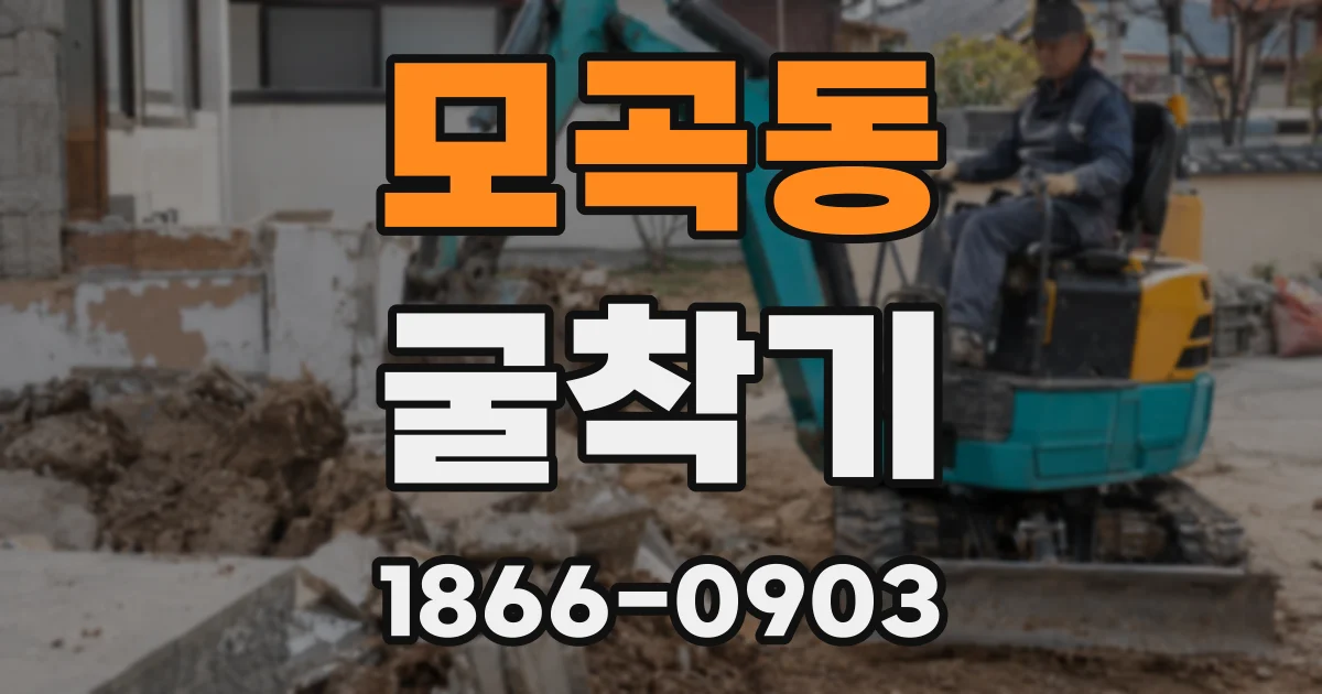 모곡동 굴착기