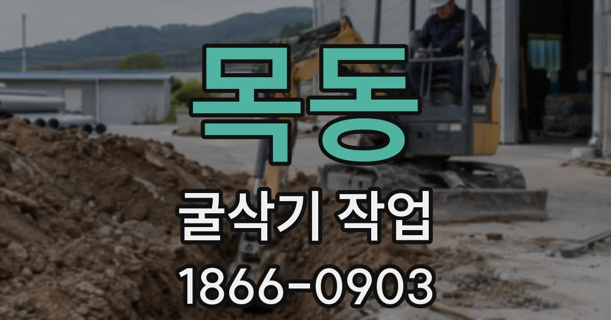 목동 굴삭기 작업